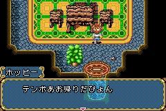 青蛙回家