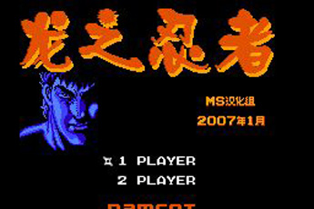 龙之忍者高清版