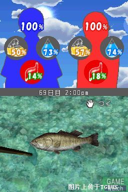 迷失蔚蓝