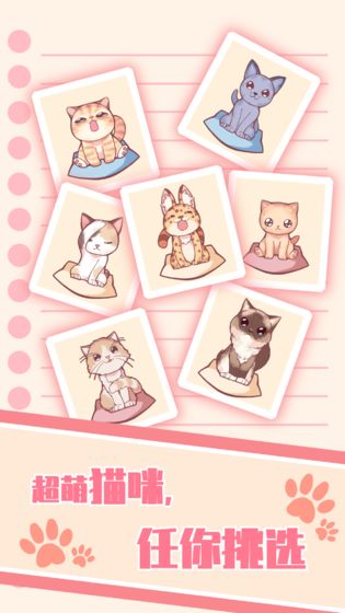 猫咪养成:云撸猫