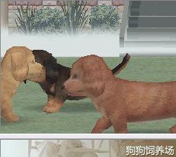 任天狗腊肠犬和它的朋友中文版apk
