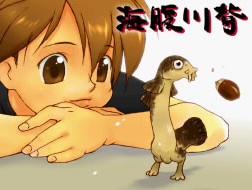海腹川背旬第二正式中文版apk