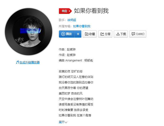 如果你看到我完整版歌词在线试听