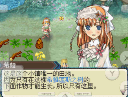 牧场物语符文工房3
