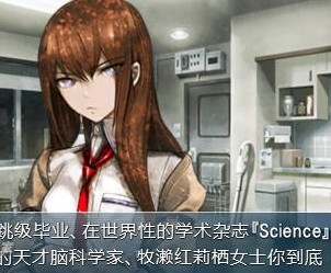 psp命运石之门比翼恋理的爱人中文硬盘版