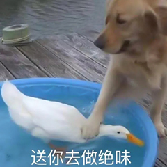 做人不要太美国意思详解