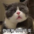 忙完这一阵就可以忙下一阵了意思介绍