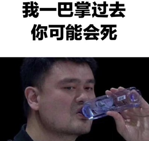 姚明巴掌脸意思介绍