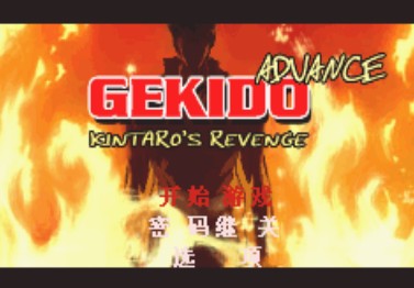 究级截拳道中文版