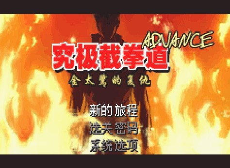 究极截拳道中文版