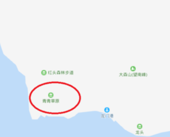 青青草原意思介绍