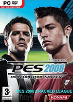 胜利十一人2008