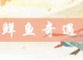花与剑鲜鱼奇遇做法攻略