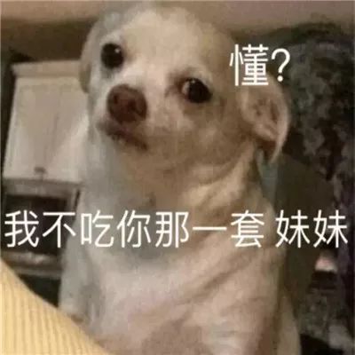 适合男生撩妹的沙雕狗狗表情包带字
