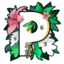 数字填色免费版中文版下载
