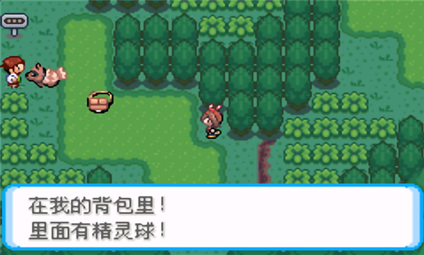 口袋妖怪永恒的洁白中文版