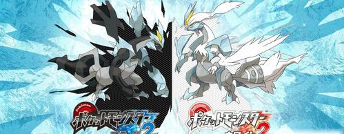 口袋妖怪黑白2中文版