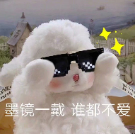 散装英语详细介绍