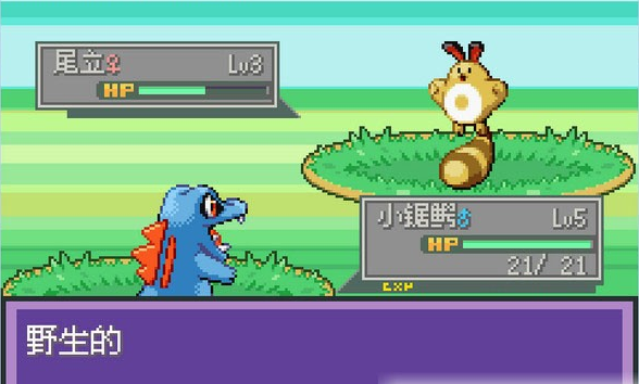 口袋妖怪液体水晶中文版