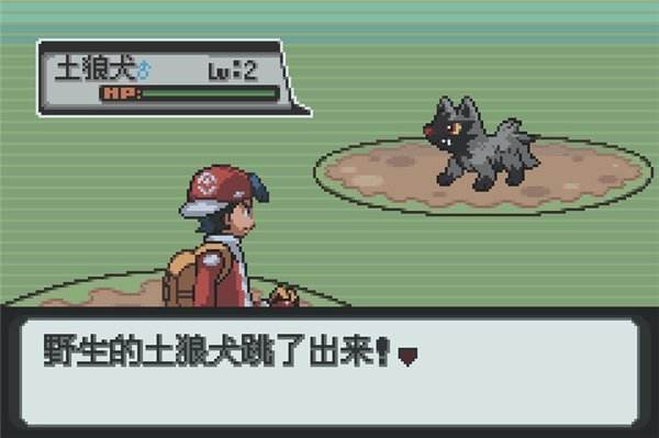 口袋妖怪:金中文版