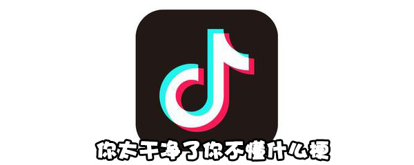 你太干净了你不懂什么梗
