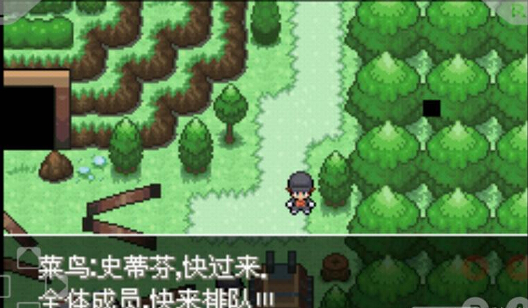 口袋妖怪:银色传说中文版