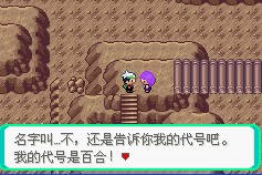 口袋妖怪:血影中文版