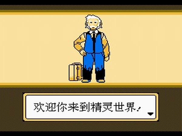 口袋妖怪:白玉版