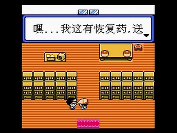 口袋妖怪:白玉版