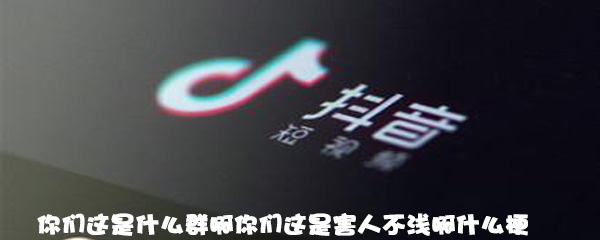 你们这是什么群啊你们这是害人不浅啊什么梗