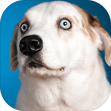 Good Dogs!中文版