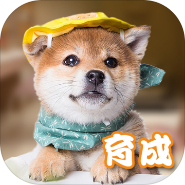 元气小狗安卓正式版