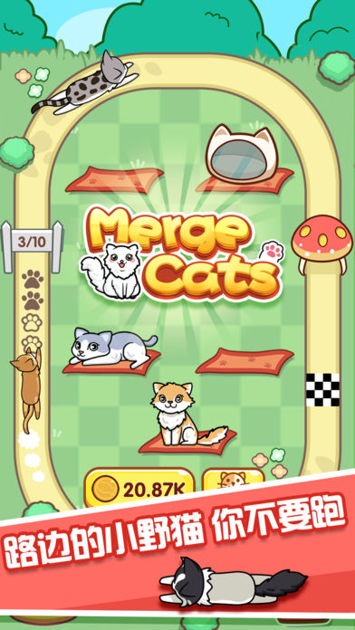 跑酷云养猫ios版