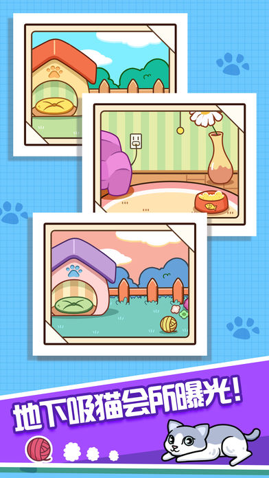 跑酷云养猫ios版