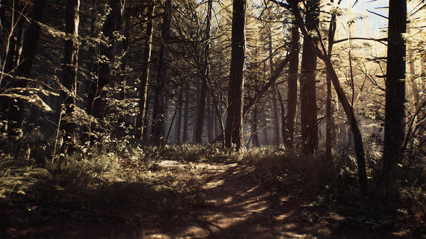 BlairWitch中文版