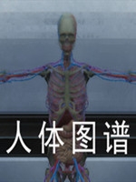 人体图谱中文版最新版