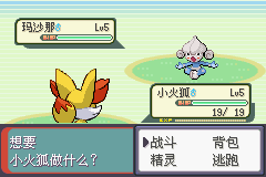口袋妖怪:黑琥珀中文版