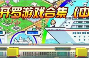 口袋妖怪开罗游戏1.00版存档