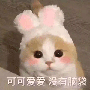 文字撩人表情包分享
