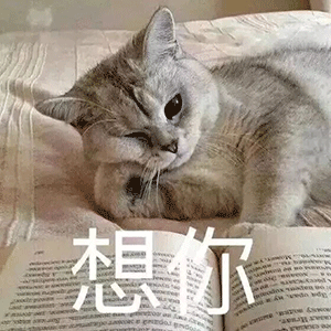 撩人表情包一套可爱