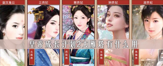 皇帝成长计划2大雁塔有什么用