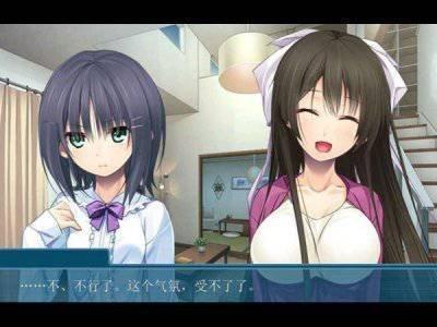 ons模拟器电脑版