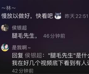 抖音腿毛先生意思详解