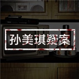 孙美琪疑案线索破解版