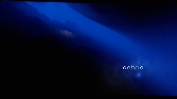 Debris中文版