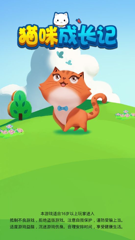 猫咪成长记 猫咪成长记