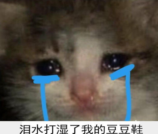 泪水打湿我的豆豆鞋意思介绍及回复方式