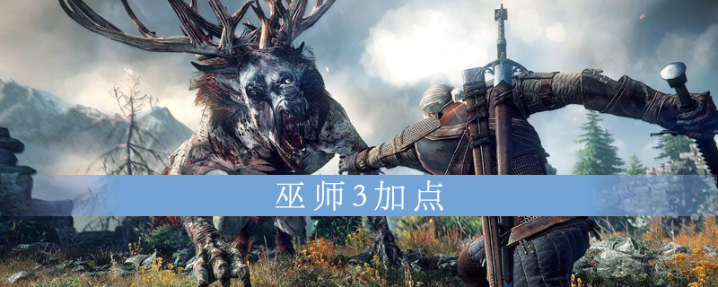 巫师3加点办法介绍