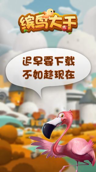 缤鸟大千 缤鸟大千