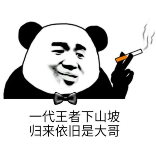 熊猫社会人表情包图片大全
